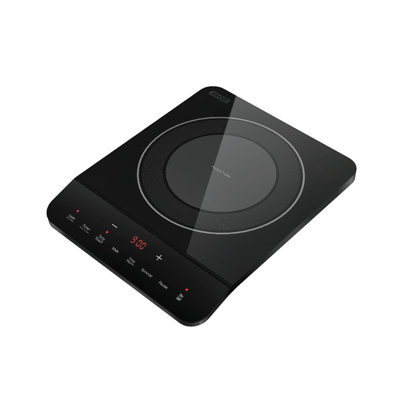 Empava Induction 1 Burner Cooktop - Wayfair Canada